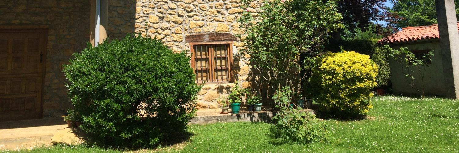 Vicente Alonso banner