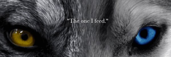 SuiiVFX's profile banner image