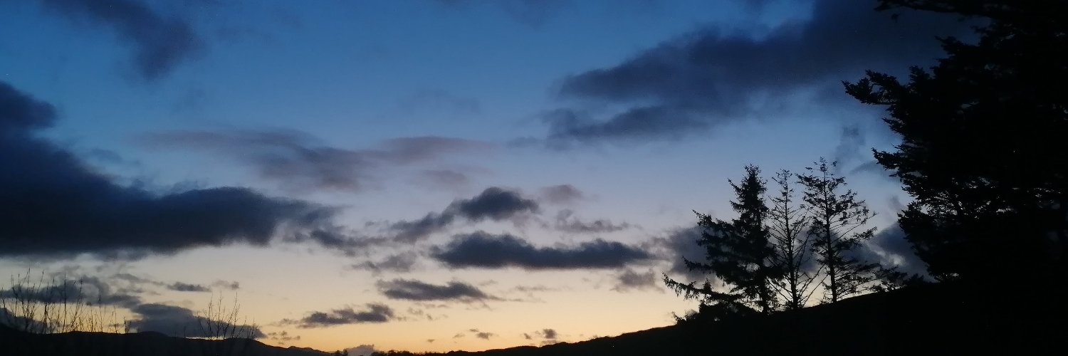 utdfox's profile banner image