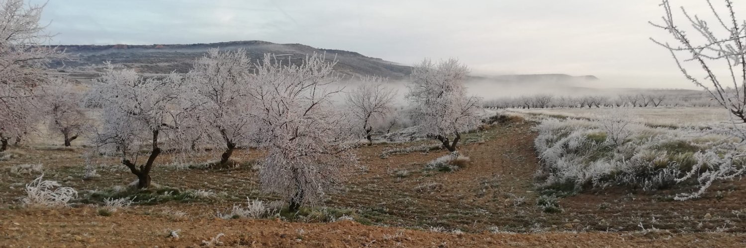 MeteoBulbuente's profile banner image