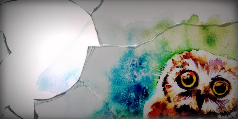 Shiko_art's profile banner image
