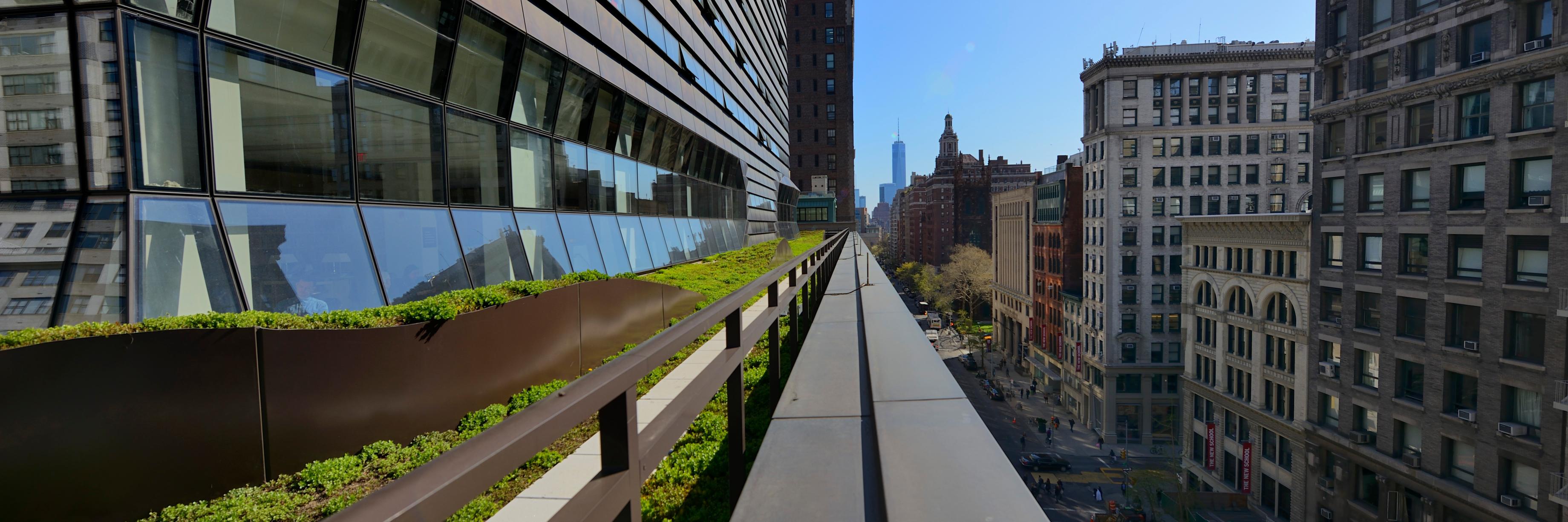 New School Libraries banner