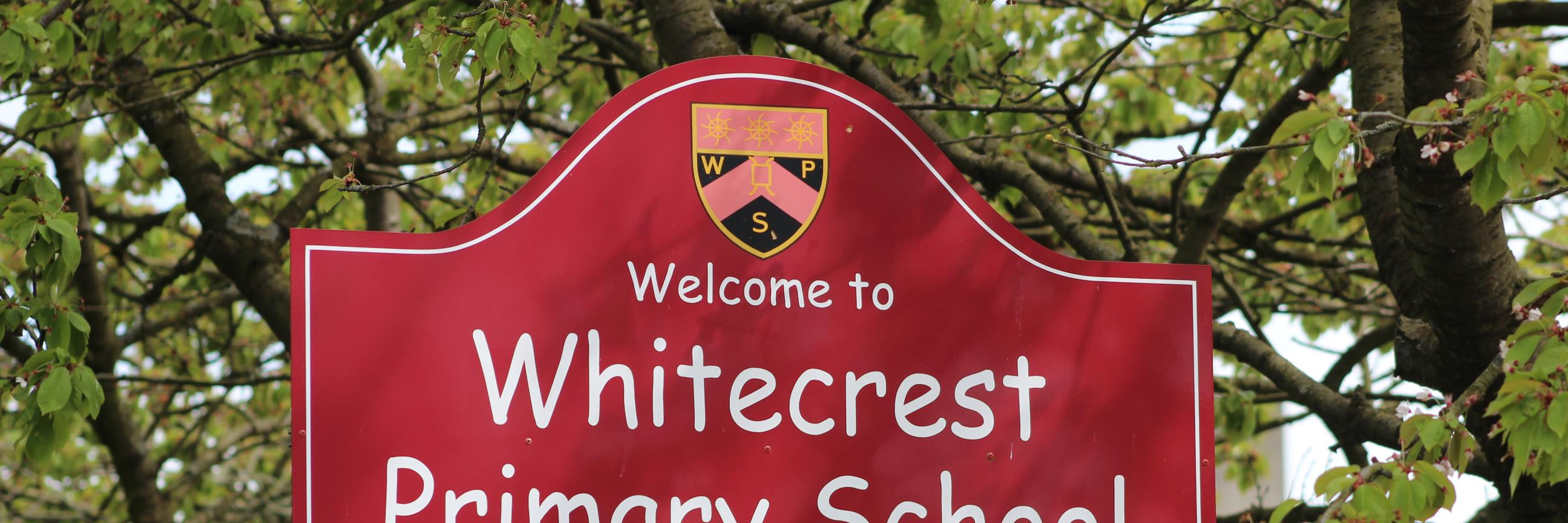 WhitecrestPS's profile banner image
