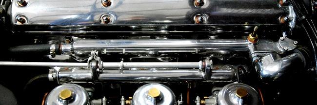 Haddock Jaguar banner