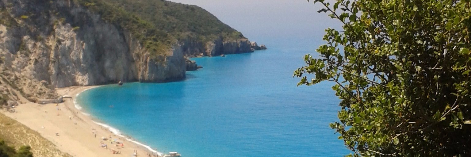 olivethymefigs's profile banner image