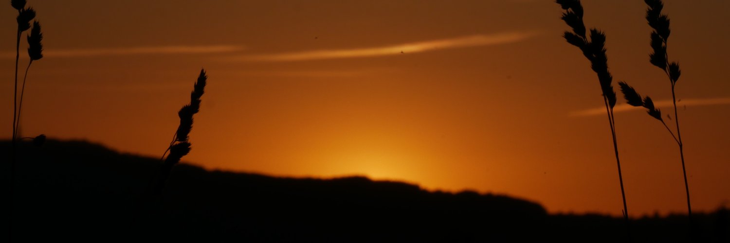 stitchk_'s profile banner image
