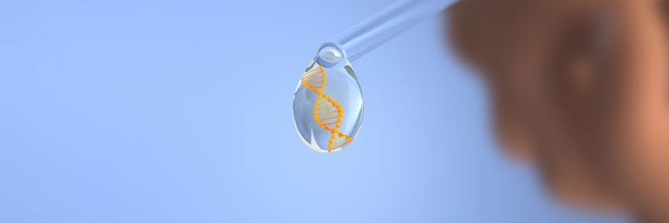 troy_FDA's profile banner image