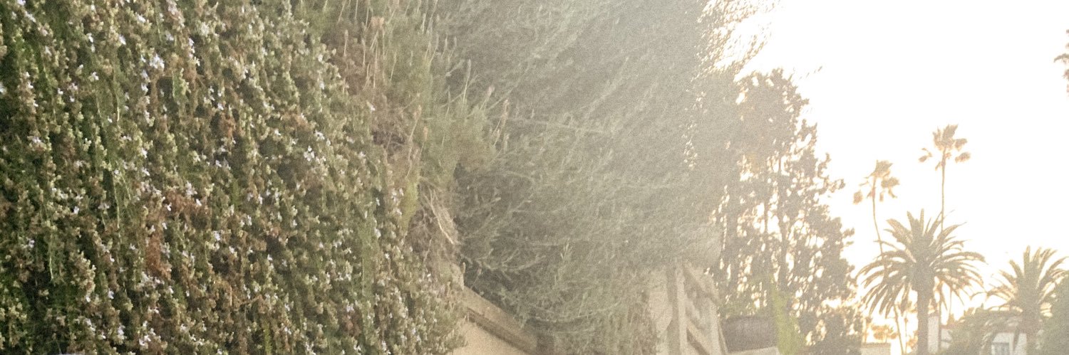 RizzoGreat's profile banner image