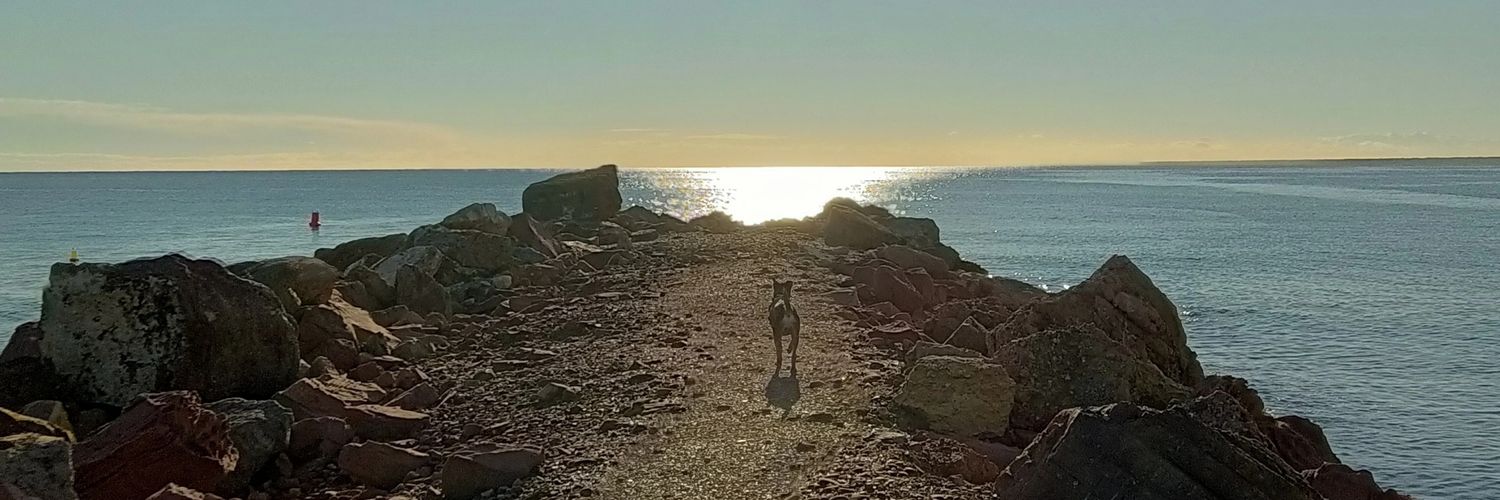 snuffs4's profile banner image