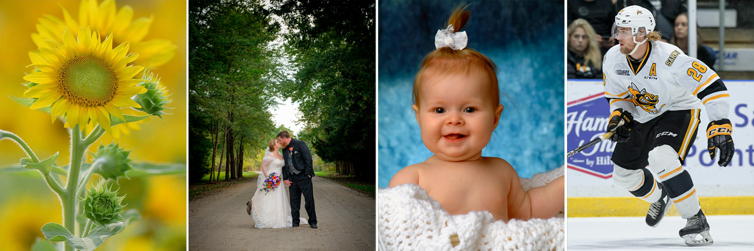 Metcalfe Photography banner