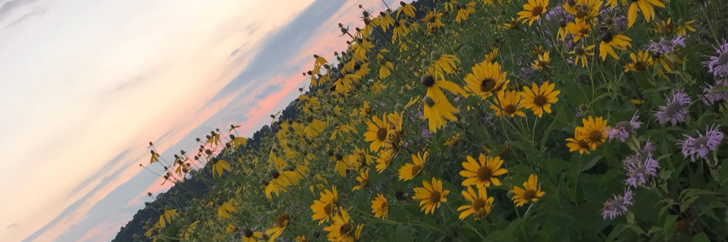 abbyrogers_'s profile banner image