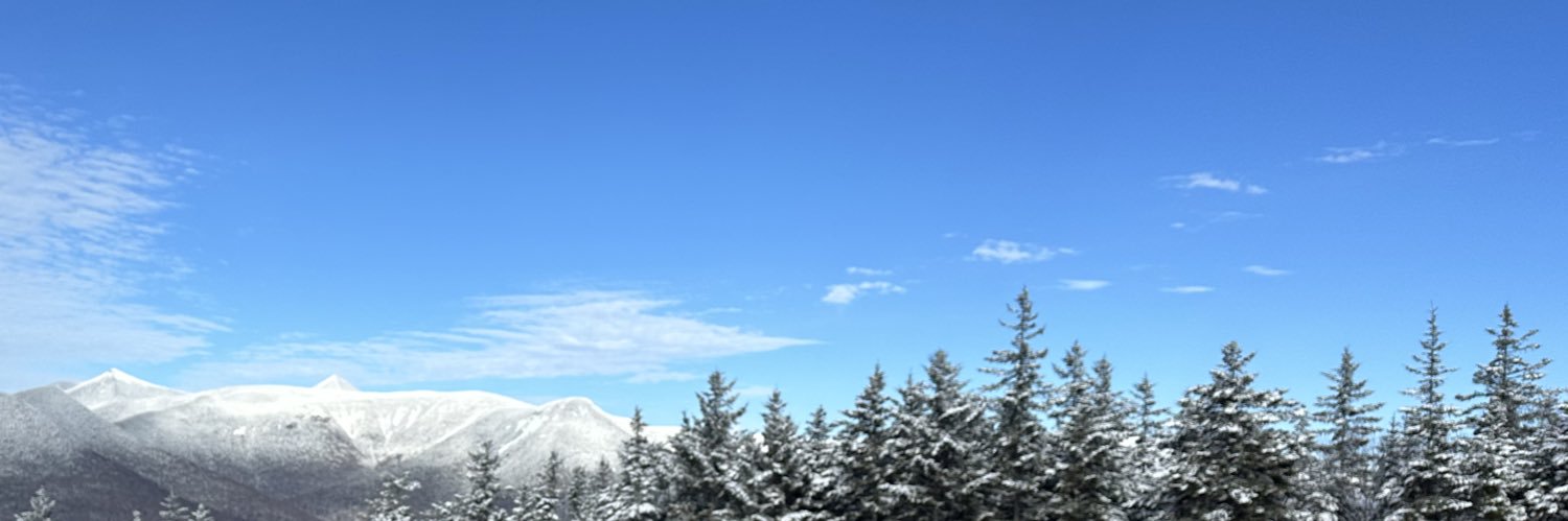 mirandapanda545's profile banner image