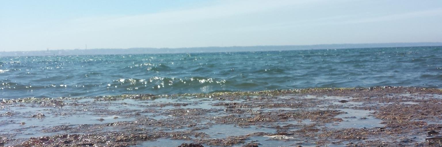 Ehlern's profile banner image
