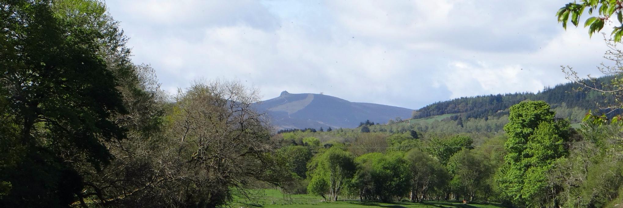 Deeside Piper banner