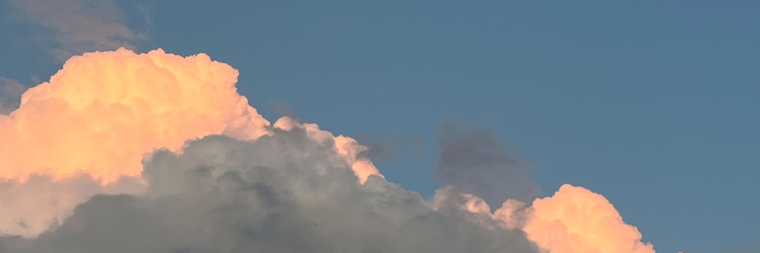 9000_flo's profile banner image