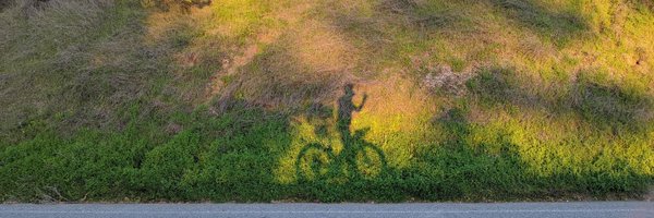 Zlatty Profile Banner