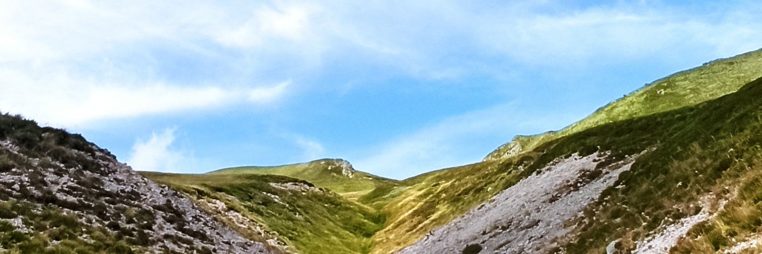 fleurs53's profile banner image
