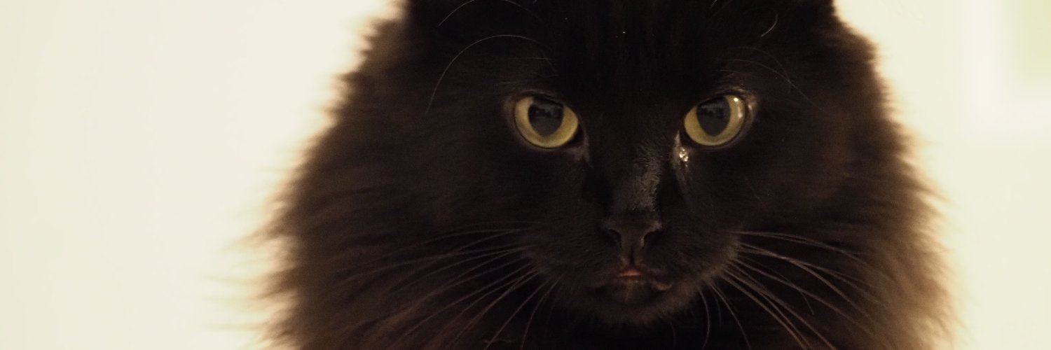 tim-clancy.eth banner