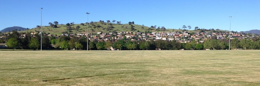 Lili Stephenson (worldcricketgirl) banner