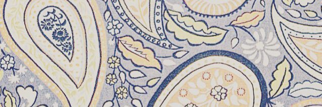VOODOO VALI banner