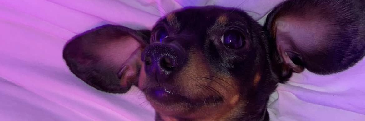 ItsCoccoXO's profile banner image
