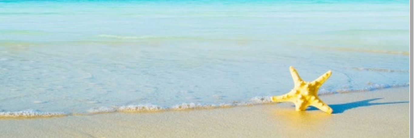 tinykittensfan's profile banner image