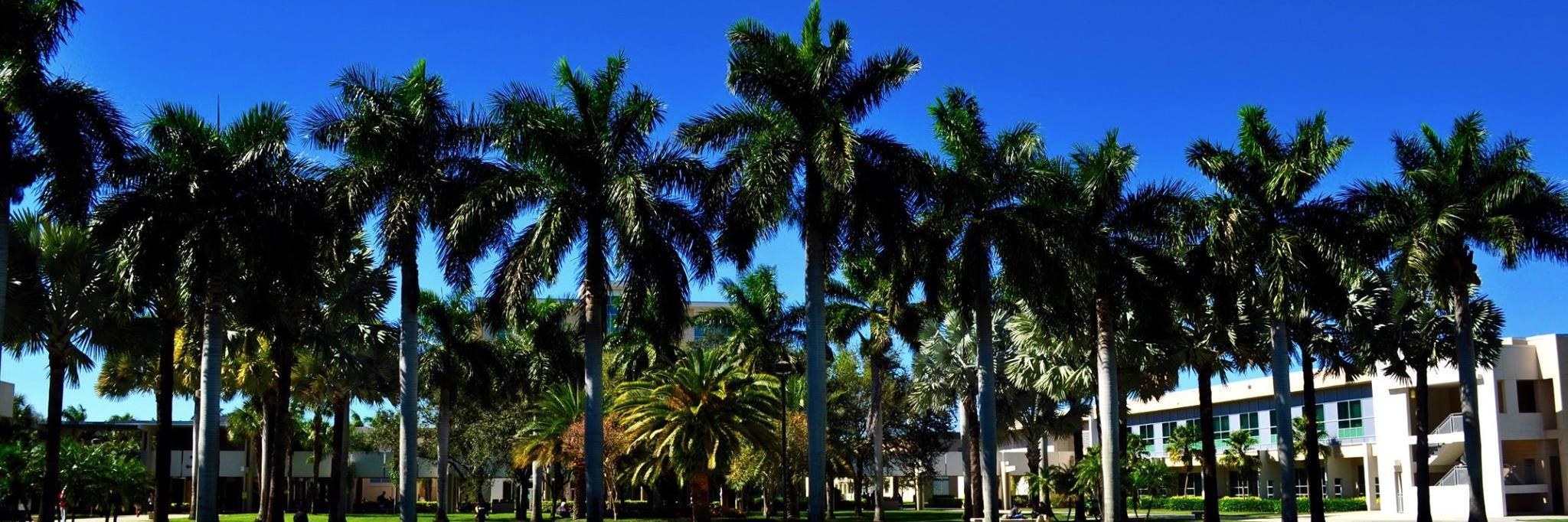 fau_hr's profile banner image