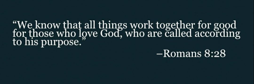 Suzanna 🇺🇸 banner