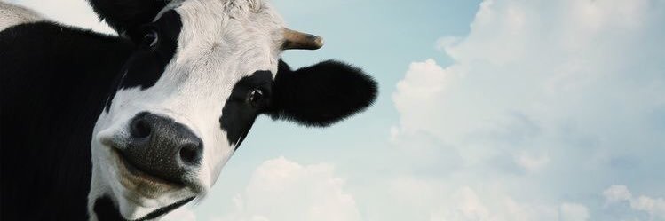 potatopicker91's profile banner image