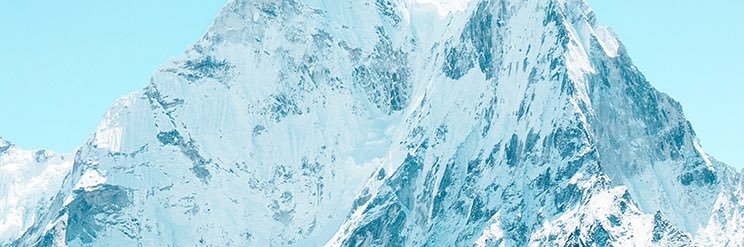 nivsee banner