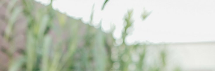 LL_Davidson's profile banner image