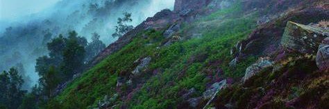 LuddeHermansson's profile banner image