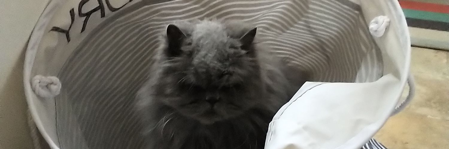 wallerkd70🇬🇧🏴󠁧󠁢󠁥󠁮󠁧󠁿 banner