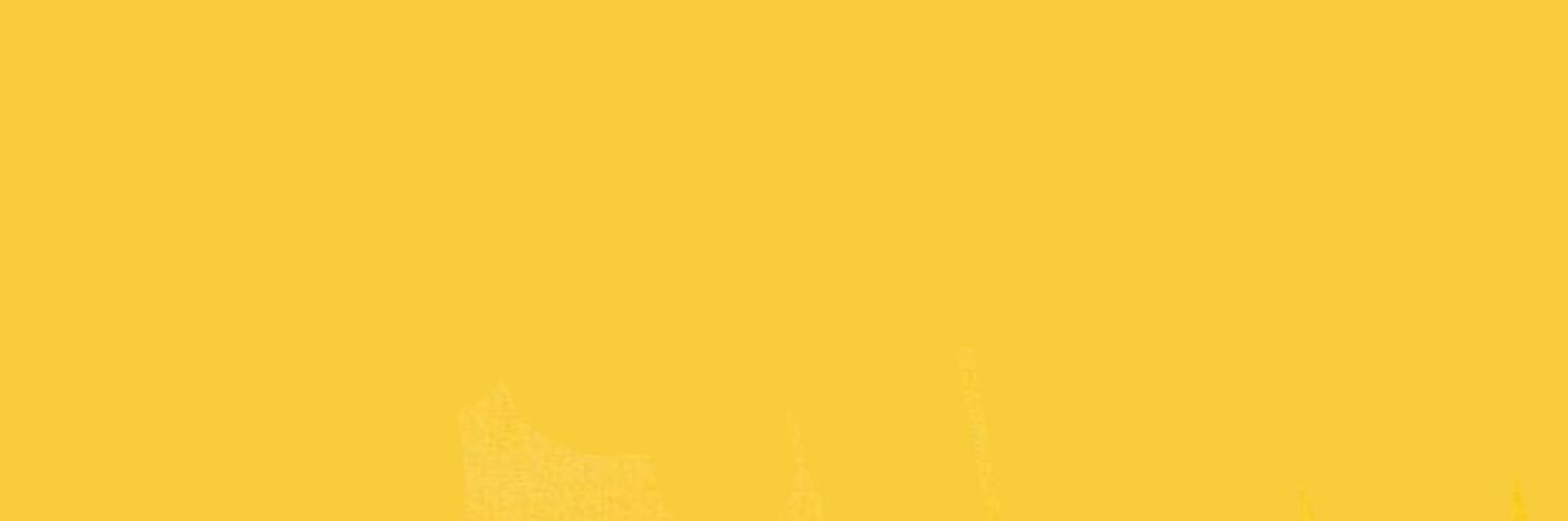 Angus Lachenicht banner