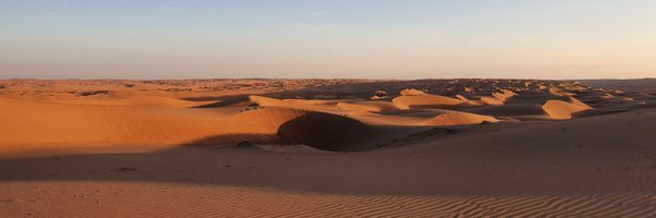 AmanteLilli Profile Banner