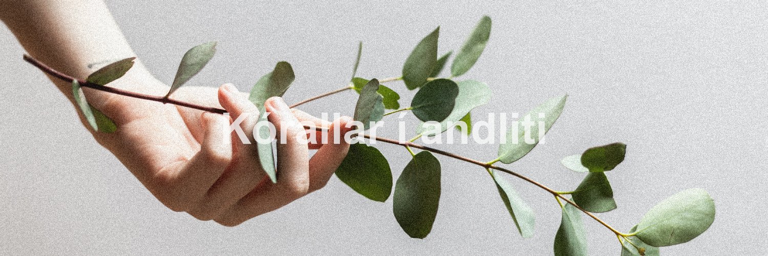 BooNiehaus's profile banner image