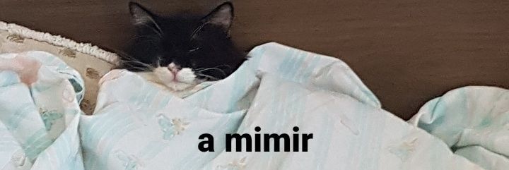 luanxpg9's profile banner image