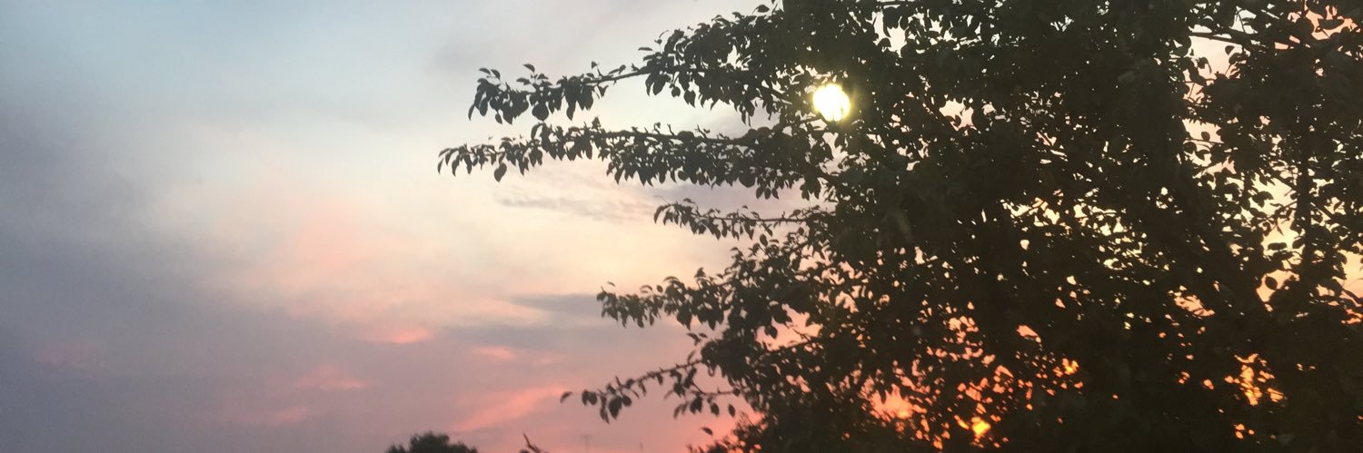 edddgee's profile banner image