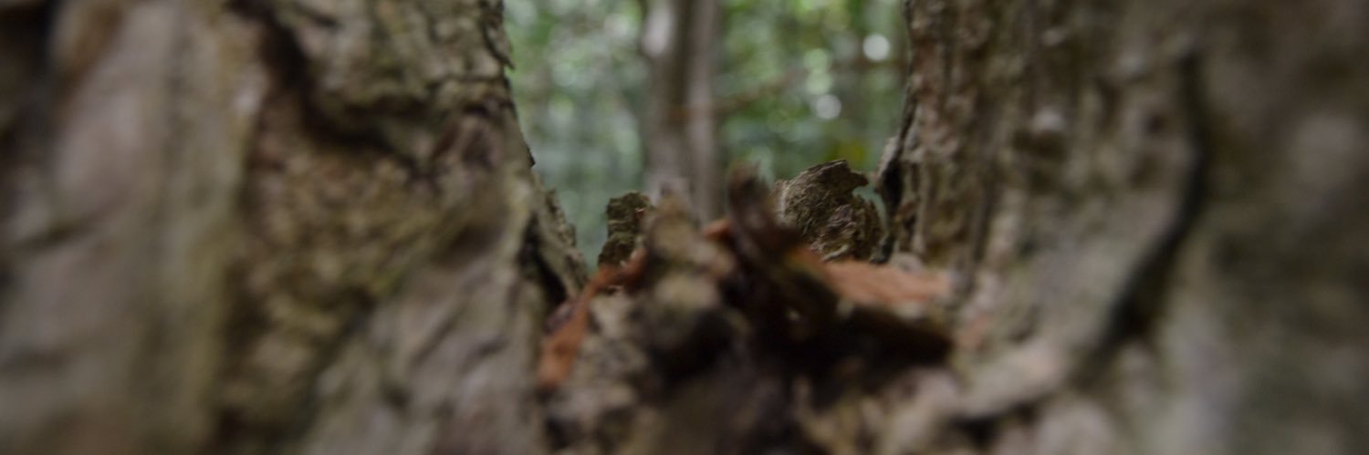 yaniss_97's profile banner image