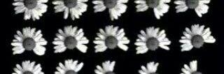 F_n_88's profile banner image