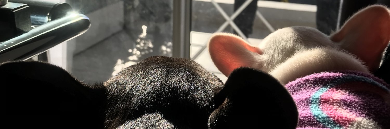 AgussTozzioli's profile banner image