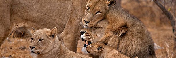 Queen Mother ♰ banner