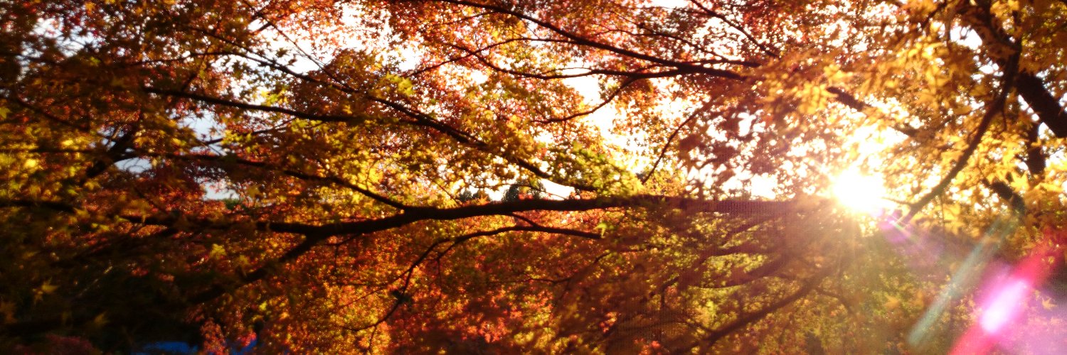 RoemerOfficial's profile banner image