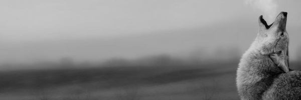 Jesús Robles banner