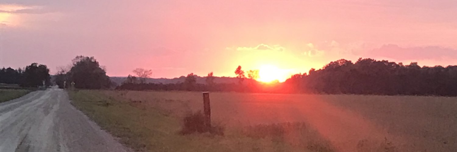 debmcgrath581's profile banner image