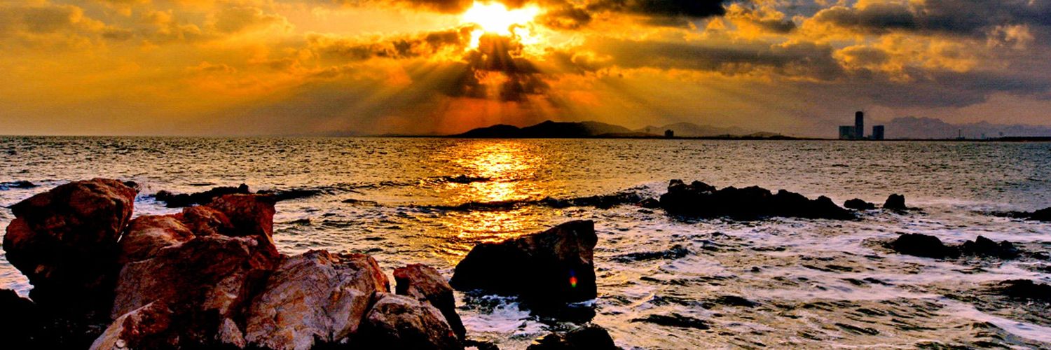 timmycarrey's profile banner image