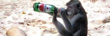 Mad Max - ₿ banner