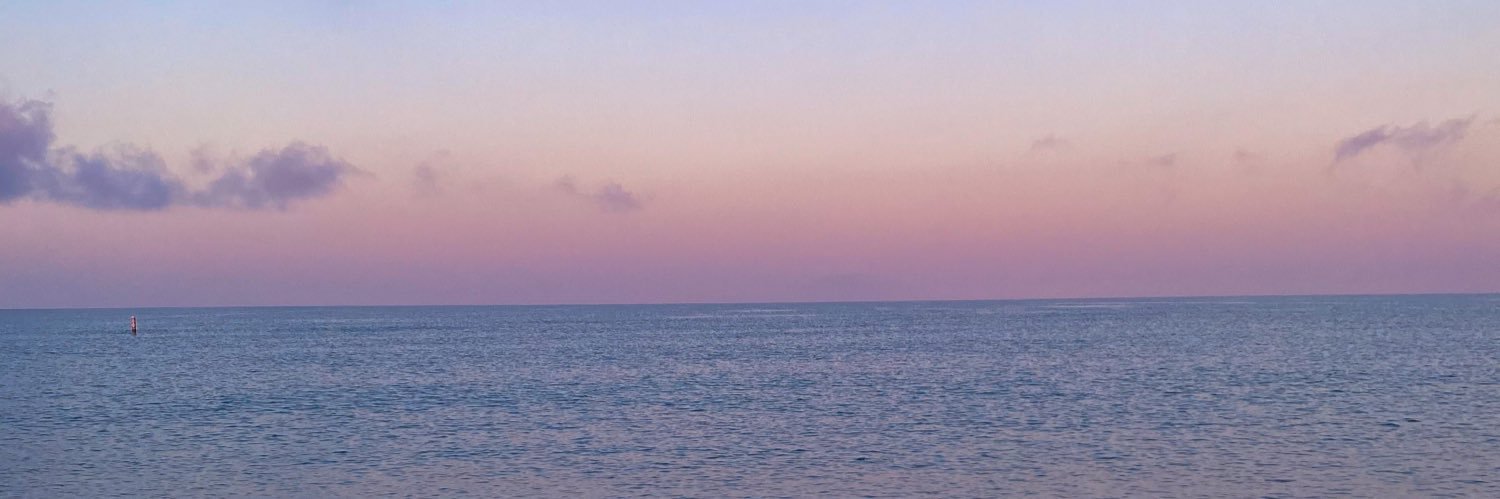 wolfe_lau's profile banner image