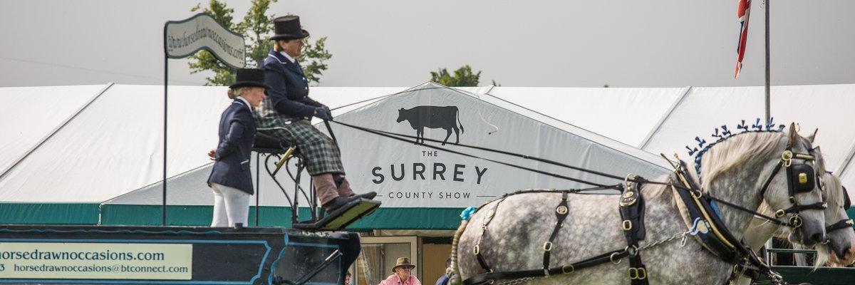 Surrey County Show banner