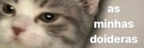 RayCardosos's profile banner image